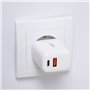 Carregador de rede Universal Fast Charger (PD) Dual Type-C / USB COOL (20W) Branco