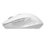 Rato sem fio silencioso COOL 6D Branco